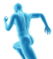 3d rendered medically accurate illustration of a runner