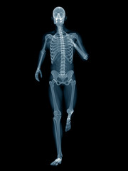 Fototapeta na wymiar 3d rendered medically accurate illustration of a runner x-ray
