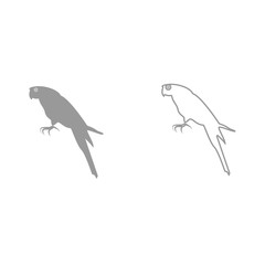 Parrot it is black icon .