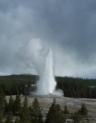 Old Faithful erupting against cloudy sky
