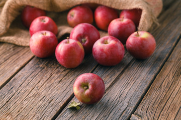 Bulrap bag of fresh red apples