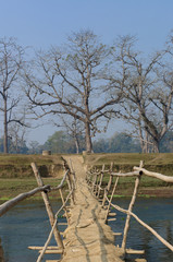 Wooden bridge in village in Nepal A bridge across the River Rapti, in the Chitwan National Park. Nepal