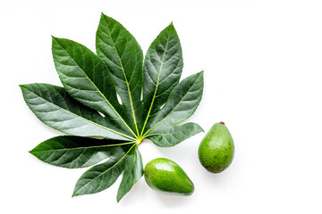 Tropical fruits background. Mango near exotic leaf on white top view copyspace