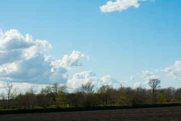Wolken über Feld im Sommer
