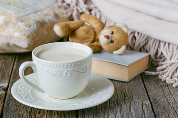 Cozy warm plaid and cute toy on it