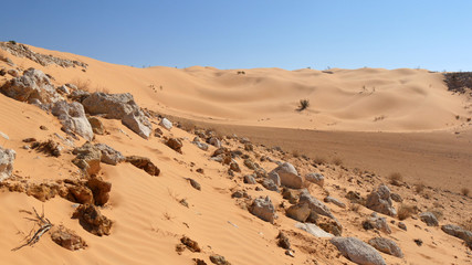 Pietre e sabbia nel deserto del Sahara