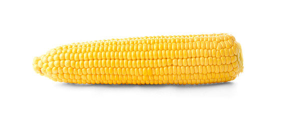 Fototapeta premium Fresh corn cob, isolated on white