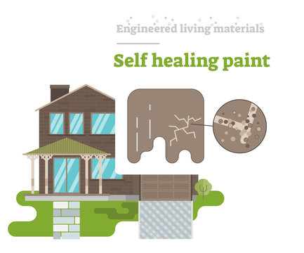 Self Healing Paint - Engineered Living Material
