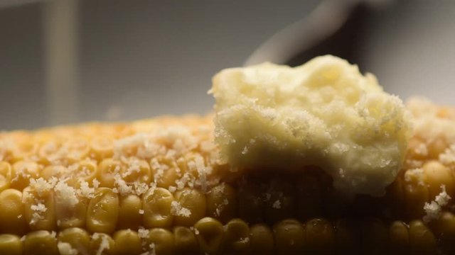 Zea mays Dacsa Maize Granoturco Maíz Mais video Majs Cucina Maïs Cocina Choclo Kukuruz Elote Küche Եգիպտացորեն Cuisine 