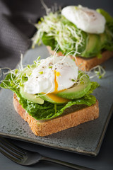 breakfast toast with avocado, poached egg and alfalfa sprouts