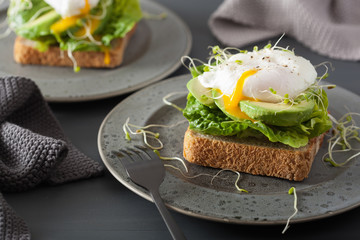 breakfast toast with avocado, poached egg and alfalfa sprouts