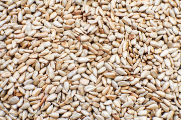 Sunflower seeds close up. Background and texture of the sunflower seed.