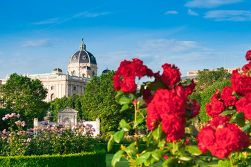 Natural History Museum and roses in Vienna, Austria