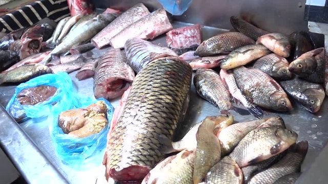 River fish market, selevtion of fresh water fish and its caviar