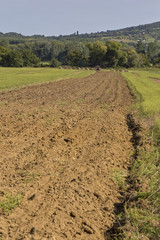 Old tractor working on the field
