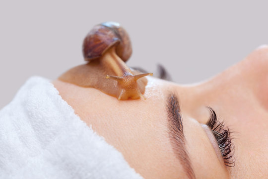 Cosmetological procedure. Beautiful young woman with a snail ahatin on her face in a beauty salon.