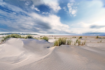 Nordsee, Strand auf Langenoog: Dünen, Meer, Entspannung, Ruhe, Erholung, Ferien, Urlaub,...