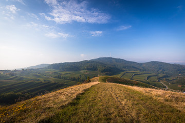 Obraz premium Haselschacher Buck Kaiserstuhl