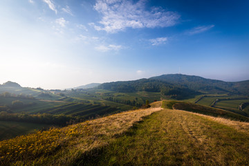 Haselschacher Buck Kaiserstuhl