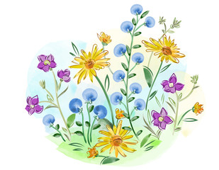 Watercolor flowers violets and pansy and leaves on meadow