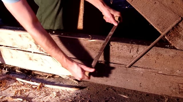 Cutting an old wooden beam with an ax that is attacked by larvae
