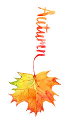Autumn hand written inscription with orange leaf, isolated on white background, watercolor illustration