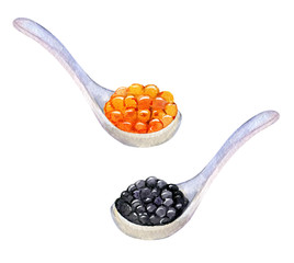 Red and black caviar on spoon, isolated on white background, watercolor illustration