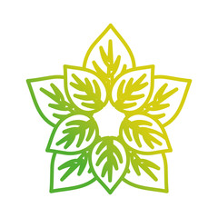 leaf  design  vector illustration