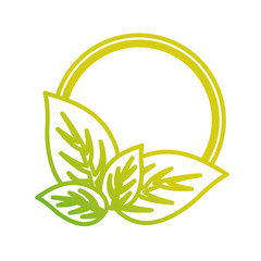 round frame  with  leaves   vector illustration