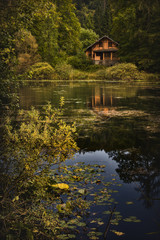 Obraz premium Autunno Cei 2