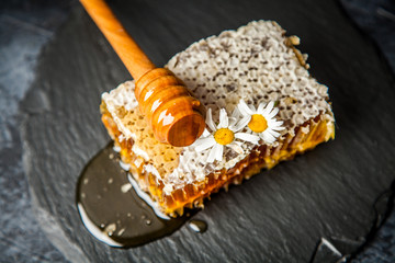 Honeycomb on white
