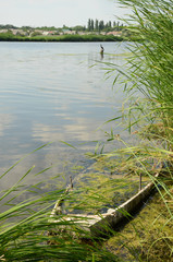 Forgotten boat, reed grass and a bird. Summer countryside river landscape background
