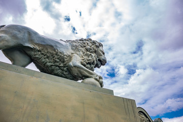 Lion statue at sky background, located in St. Petersburg