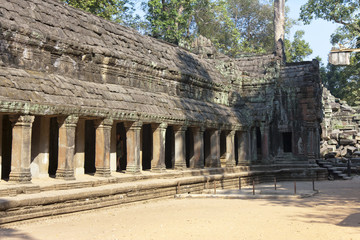 Fototapeta premium ruins of temple in Angkor Wat (Siem Reap, Cambodia),12th century,..