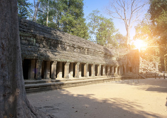 ruins of temple in Angkor Wat (Siem Reap, Cambodia),12th century,..