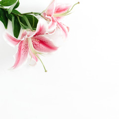 Beautiful pink lily flower on white background. Flat lay, top view. Flower composition.