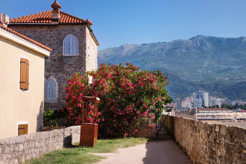 Naklejka premium Historic stone buildings with red tile roofs and pink oleander bush, coastal mountain landscape view, a scenic coastal mountain landscape unfolds in the background under a clear blue sky