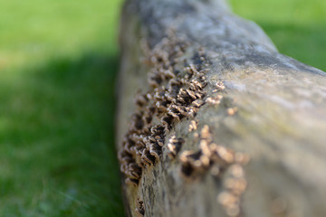 Spring is in the air