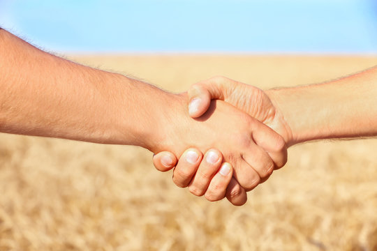 Two men shaking hands in wheat field, closeup