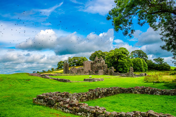 Obraz premium Landscape of Inch Abbey in Northern Ireland. Monastery ruins in Downpatrick. Co. Down. Travel by car in summer.
