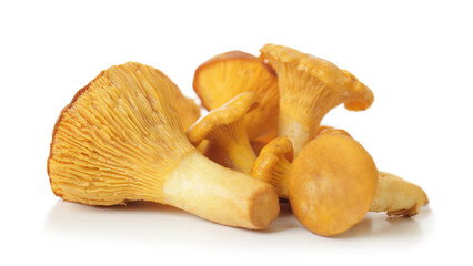 Chanterelles on white background
