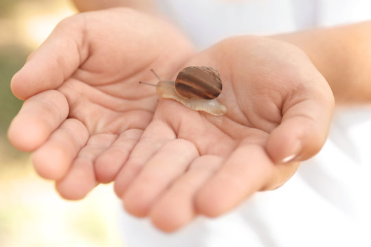 Child holding snail, close up