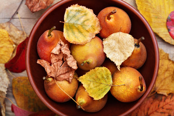 Pears. Fresh organic pears in clay plate with autumn leaves on wooden table. Autumn nature concept.Selective focus.Top view