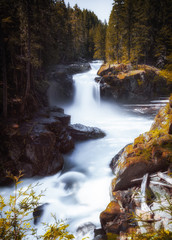 Obraz premium Silver Falls, Mount Rainier