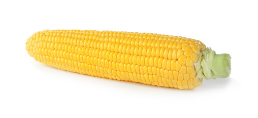 Fresh corn cob, isolated on white