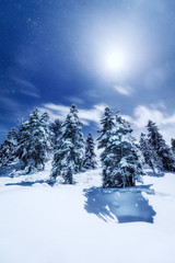 Winter Moonlight, Lake Tahoe