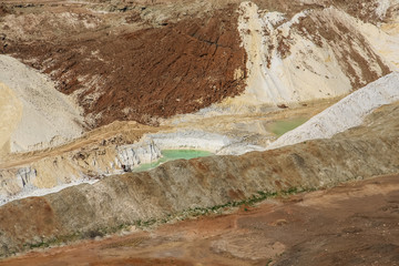 Silviculture around the clay quarry