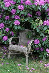 Sessel in einem Garten
