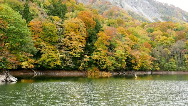 Beautiful lake in autumn