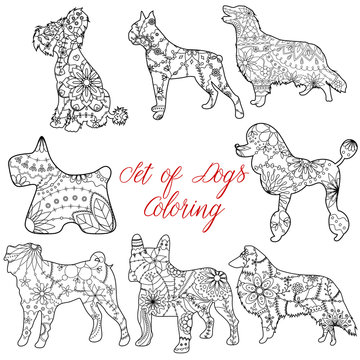 Coloring set dogs